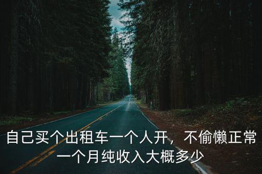 自己買個出租車一個人開，不偷懶正常一個月純收入大概多少