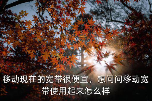 移動現(xiàn)在的寬帶很便宜，想問問移動寬帶使用起來怎么樣