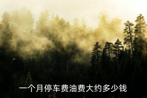 一個月停車費油費大約多少錢