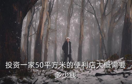 投資一家50平方米的便利店大概需要多少錢