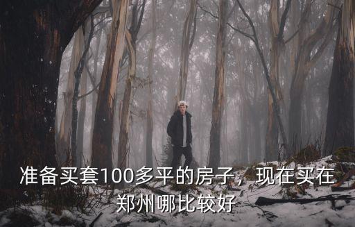 準備買套100多平的房子，現在買在鄭州哪比較好