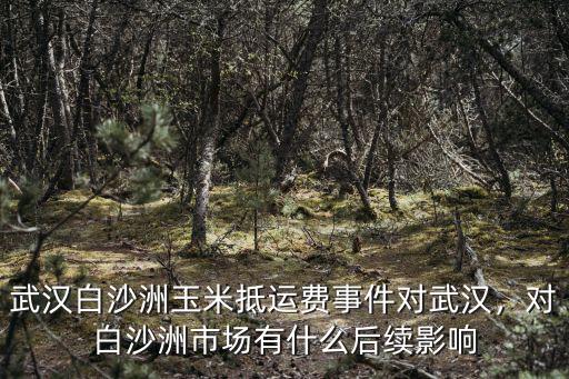 武漢白沙洲玉米抵運(yùn)費(fèi)事件對(duì)武漢，對(duì)白沙洲市場(chǎng)有什么后續(xù)影響