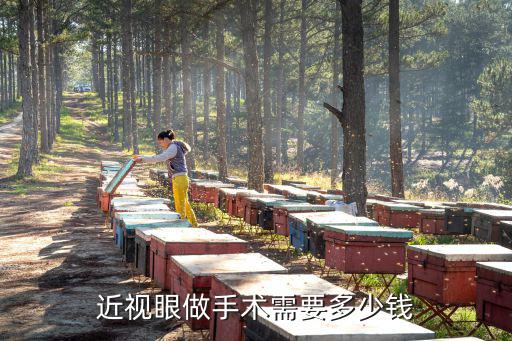 合肥省立醫院做近視眼多少錢,近視眼做手術需要多少錢