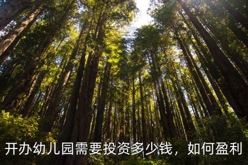 石家莊開幼兒園投資多少,開辦幼兒園需要投資多少錢