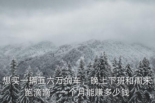 想買一輛五六萬的車，晚上下班和周末跑滴滴，一個月能賺多少錢