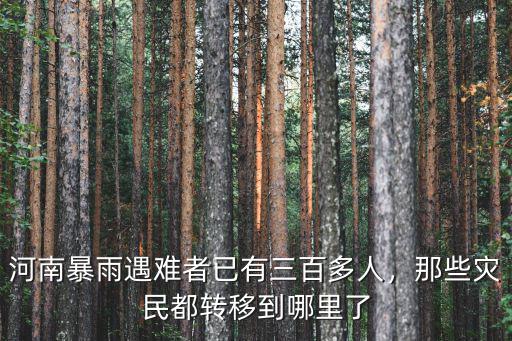 河南暴雨遇難者已有三百多人，那些災(zāi)民都轉(zhuǎn)移到哪里了