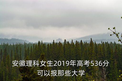 安徽理科女生2019年高考536分可以報那些大學