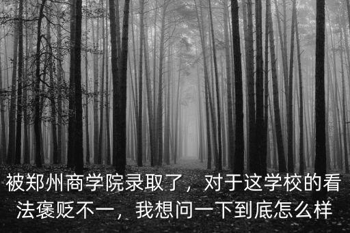 被鄭州商學(xué)院錄取了，對于這學(xué)校的看法褒貶不一，我想問一下到底怎么樣