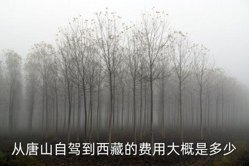 從唐山自駕到西藏的費用大概是多少