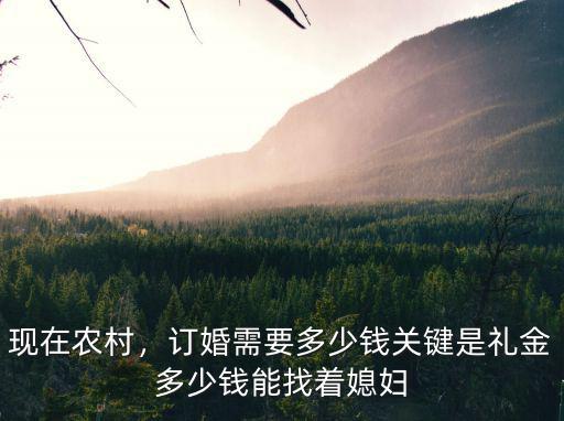 承德農(nóng)村結(jié)婚禮金多少錢,訂婚需要多少錢