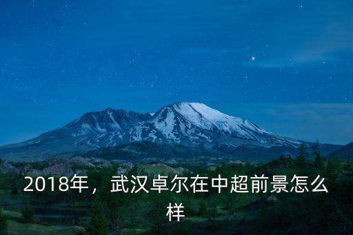 湖北卓爾天龍怎么樣,武漢卓爾在中超前景怎么樣