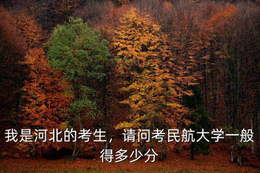 河北考生考空乘二本線是多少,我是河北的考生