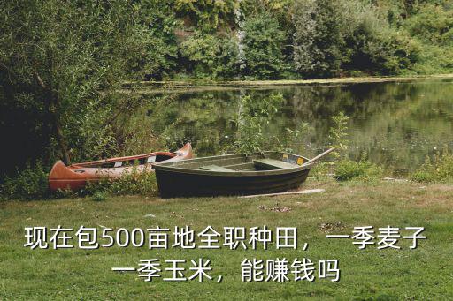 在保定種一季玉米地租多少錢,一季麥子一季玉米