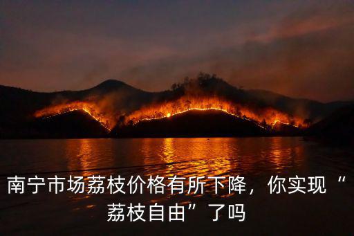 南寧市場荔枝價格有所下降，你實現“荔枝自由”了嗎
