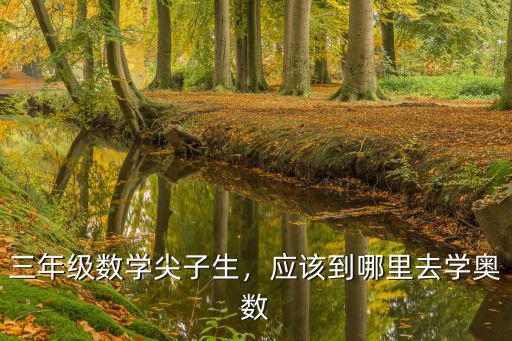 三年級數學尖子生，應該到哪里去學奧數