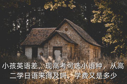 小孩英語差，現高考可選小語種，從高二學日語來得及嗎，學費又是多少