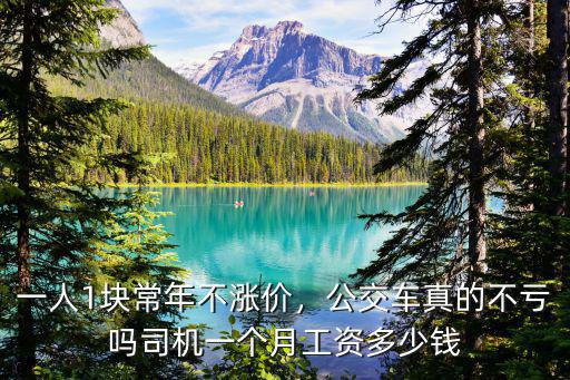 一人1塊常年不漲價，公交車真的不虧嗎司機一個月工資多少錢
