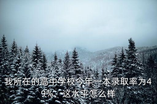 我所在的高中學(xué)校今年一本錄取率為49%，這水平怎么樣