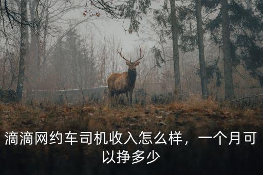 滴滴網約車司機收入怎么樣，一個月可以掙多少