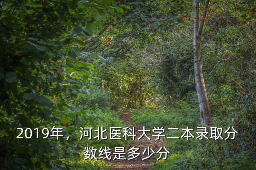 2019年，河北醫科大學二本錄取分數線是多少分