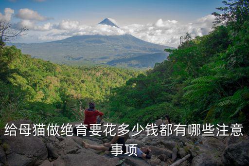 合肥市有免費公貓絕育多少錢,公貓絕育多少錢
