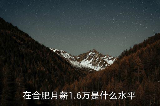 在合肥月薪1.6萬是什么水平