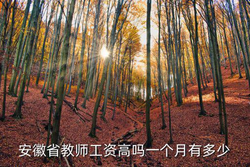 安徽省教師工資高嗎一個月有多少