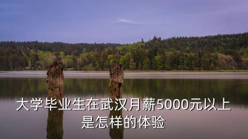 武漢高校畢業(yè)生服務(wù)網(wǎng) 怎么么樣,武漢高校畢業(yè)生多