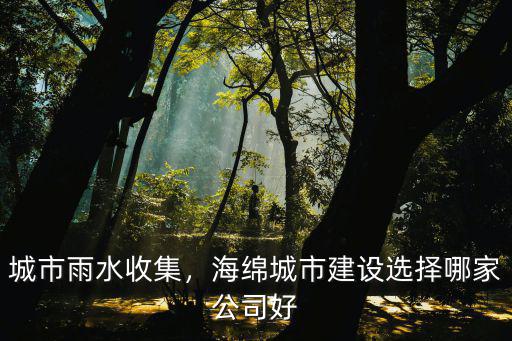 阜陽市政海綿城市建設多少錢,獎勵海綿城市建設