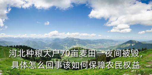 河北農田有多少畝,每個農民基本農田是多少畝