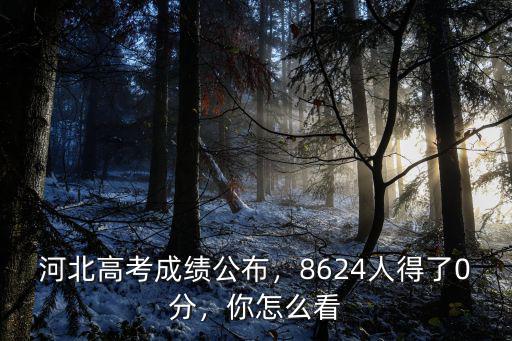 河北高考分?jǐn)?shù)0分多少人,河北高考成績公布