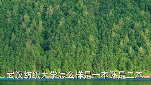 武漢紡織大學怎么樣是一本還是二本