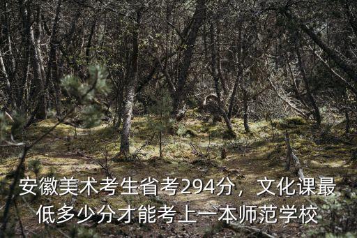 安徽美術考生省考294分，文化課最低多少分才能考上一本師范學校