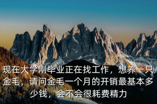 河北最大的金毛多少錢,一只金毛大概多少錢