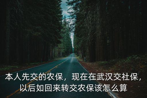 湖北農(nóng)村交了社保 在武漢怎么交,現(xiàn)在在武漢交社保