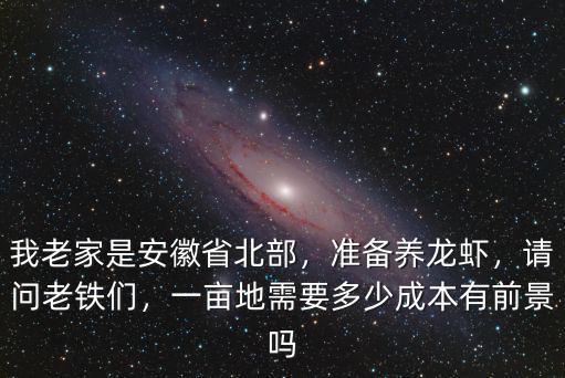 我老家是安徽省北部，準備養龍蝦，請問老鐵們，一畝地需要多少成本有前景嗎