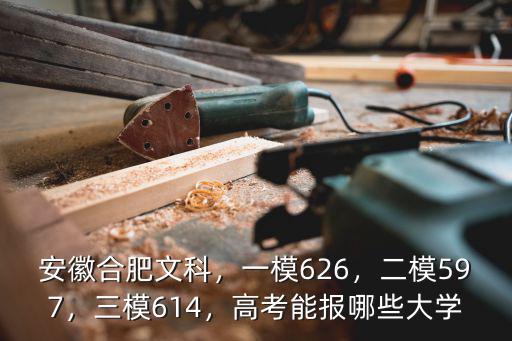 安徽合肥文科，一模626，二模597，三模614，高考能報哪些大學
