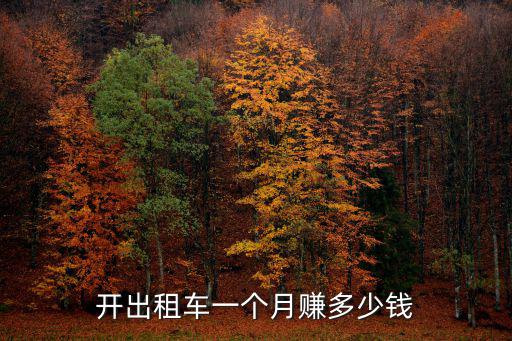 開出租車一個月賺多少錢