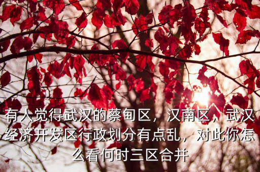 武漢漢南現(xiàn)在發(fā)展的怎么樣了,武漢漢南新長江買的期房