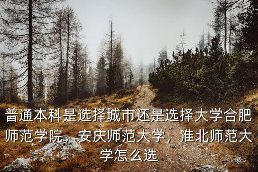 普通本科是選擇城市還是選擇大學合肥師范學院，安慶師范大學，淮北師范大學怎么選