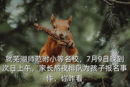 就蕪湖師范附小等名校，7月9日晚到次日上午，家長熬夜排隊為孩子報名事件，你咋看