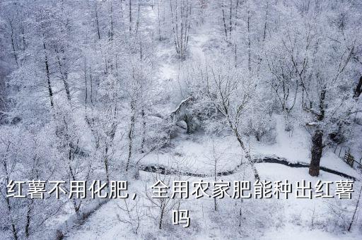 種一畝紅薯用多少斤復(fù)合肥,紅薯不用化肥