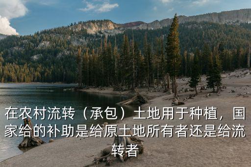 在農村流轉（承包）土地用于種植，國家給的補助是給原土地所有者還是給流轉者