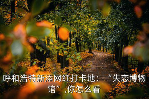 呼和浩特新添網(wǎng)紅打卡地：“失戀博物館”,你怎么看
