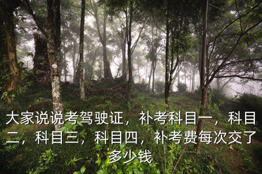 大家說說考駕駛證，補(bǔ)考科目一，科目二，科目三，科目四，補(bǔ)考費(fèi)每次交了多少錢