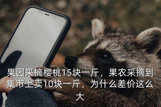 合肥櫻桃采摘多少錢一斤,果園采摘櫻桃15塊一斤