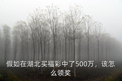 假如在湖北買福彩中了500萬，該怎么領(lǐng)獎
