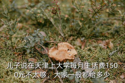 兒子說在天津上大學每月生活費1500元不太夠，大家一般都給多少