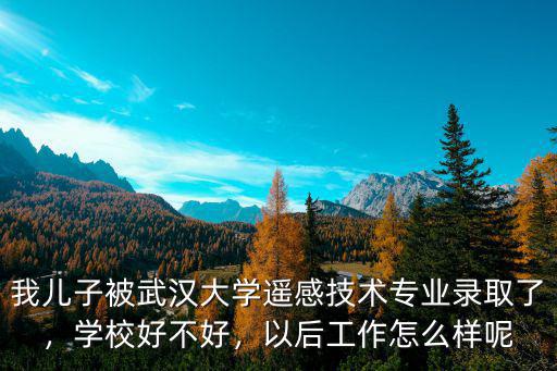 我兒子被武漢大學遙感技術專業錄取了，學校好不好，以后工作怎么樣呢