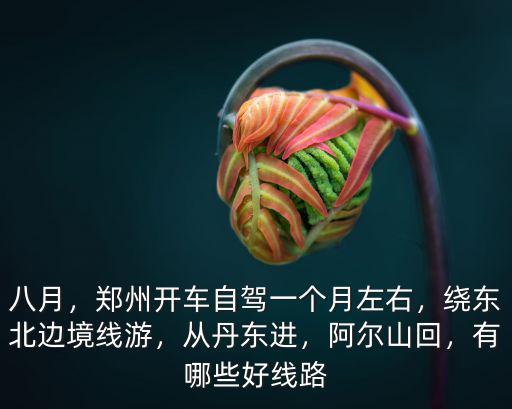 八月，鄭州開車自駕一個月左右，繞東北邊境線游，從丹東進，阿爾山回，有哪些好線路